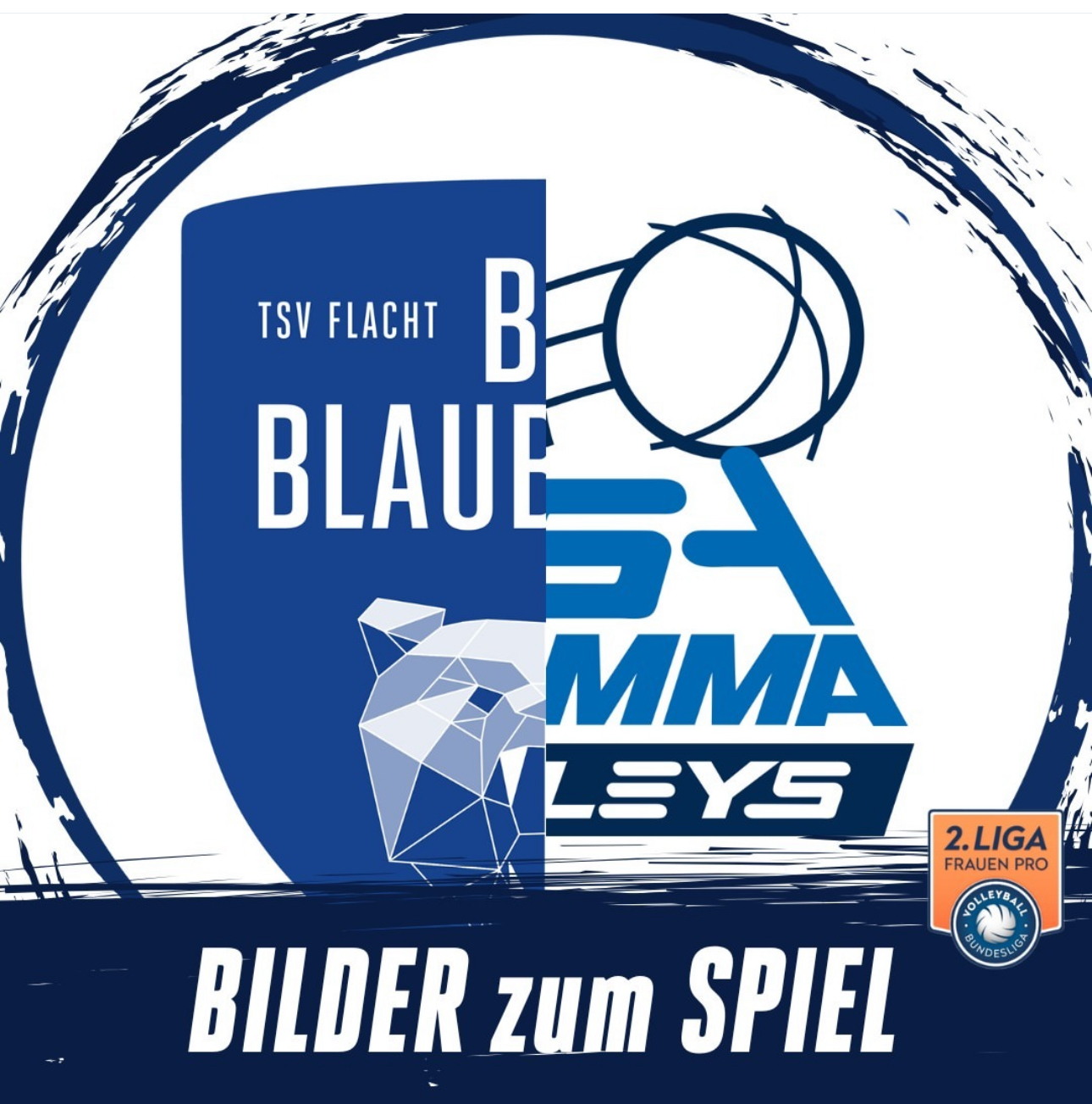 2. Bundesliga Pro: Spielbericht & Bilder – Heimspiel vs. ESA Grimma Volleys 