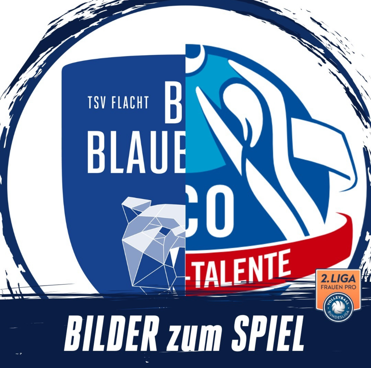 BILDER zum SPIEL: Binder Blaubären TSV Flacht - VC Olympia Dresden