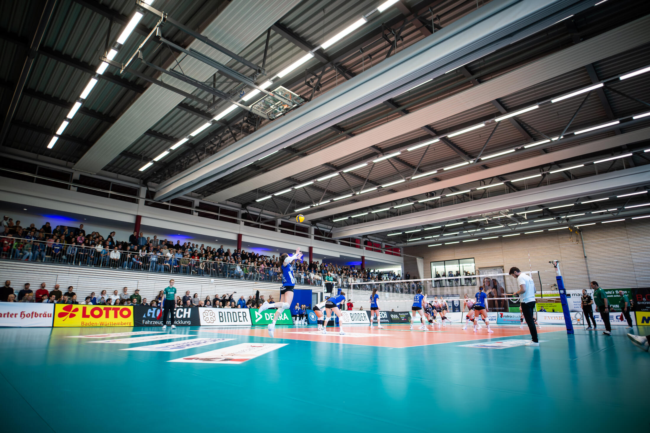 1. Bundesliga | Binder Blaubären TSV Flacht: Heimspiel gegen Schwarz-Weiß Erfurt: Wo die kleine Chance liegt