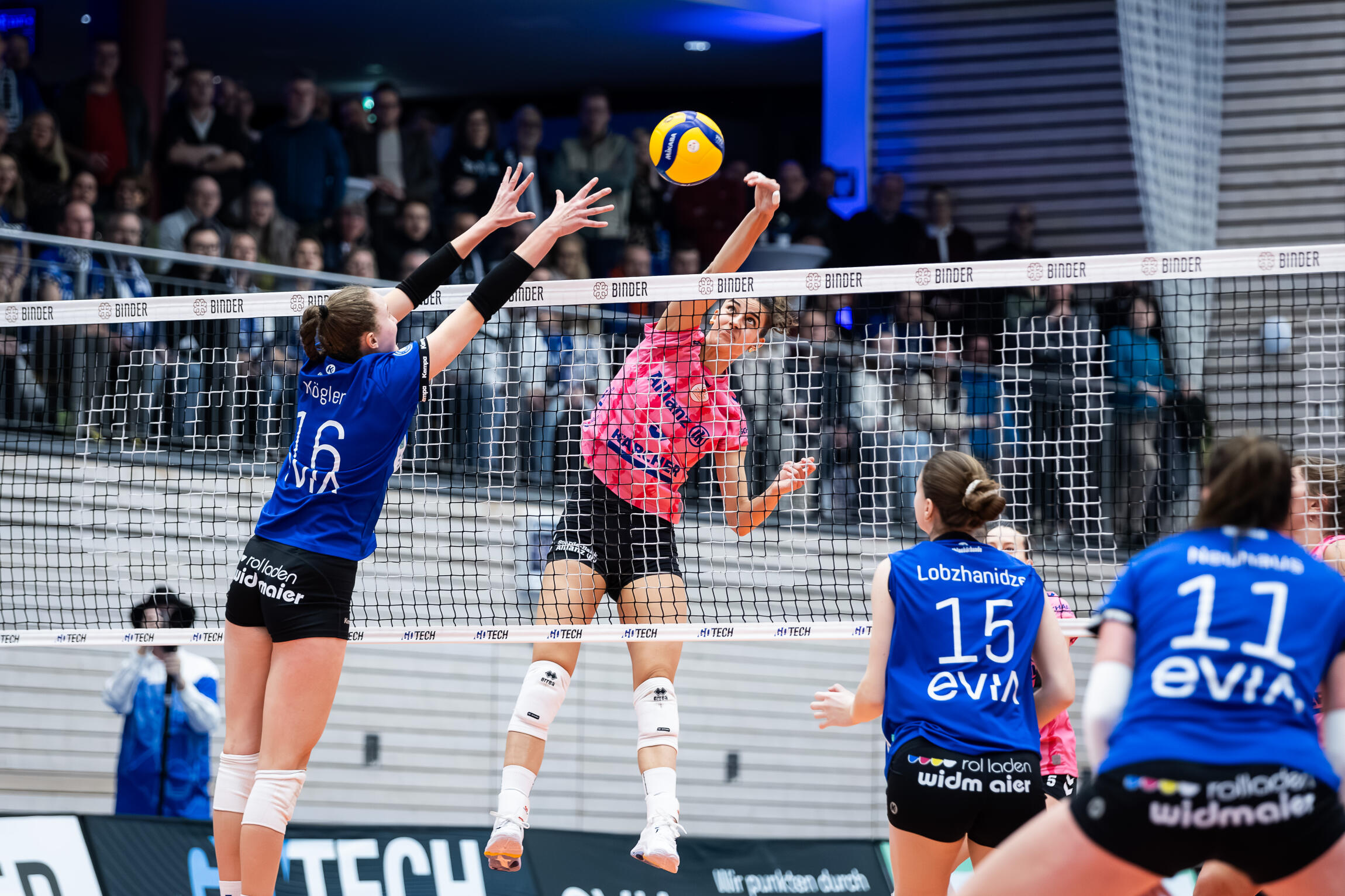 1. Bundesliga: Binder Balubären TSV Flacht - Mutiger Auftritt vor Rekordkulisse